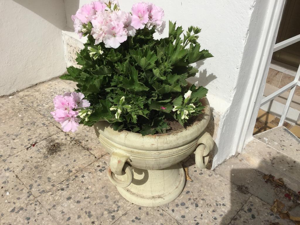 Villa Case Vacanze Le Rose à Noto Extérieur photo